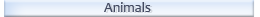 Eläimet