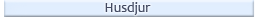 Husdjur